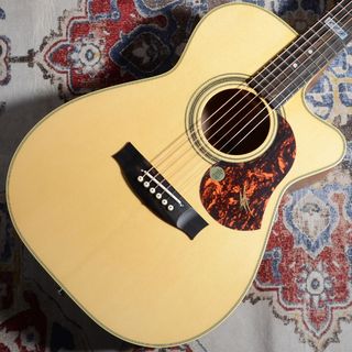 MATON EBG808CTE Tommy Emmanuel Signature【現物写真】