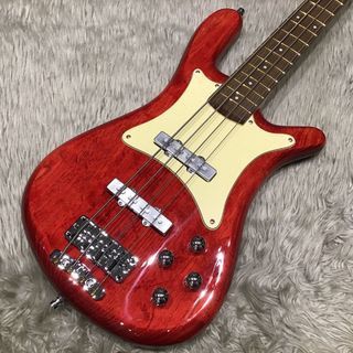 Warwick Custom Shop Streamer CV 4st Transparent High Polish【ギタラバOSAKA2023出品商品】