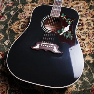 Gibson Dove Original Ebony ＃21694073