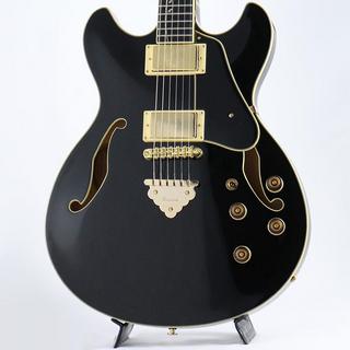 エレクトリックギター ＞ セミアコ、Ibanezの検索結果【楽器検索