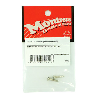 MontreuxInch TL control plate screws 2 No.928 コントロールプレートビス