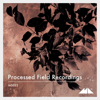 MODEAUDIOPROCESSED FIELD RECORDINGS