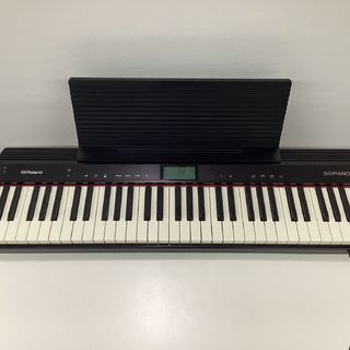 Roland GO-61P　専用ケースCB-GO61KP付属【USED】