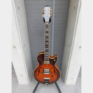 Vesta Graham VGF-1800G フルアコ