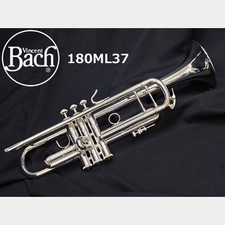 Bach180ML37【船橋店】