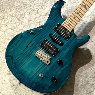 Paul Reed Smith(PRS) SE SWAMP ASH SPECIAL 22 -Iri Blue- #G042917 【3.51Kg】