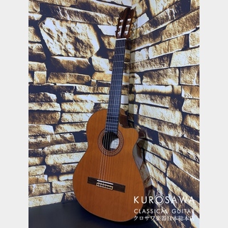Antonio Sanchezアントニオ・サンチェス Profesor-4/64Cedar 杉