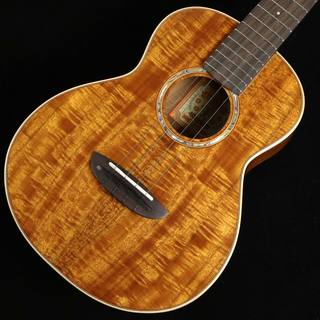 aNueNue aNN-AAA3　S/N：AM19927 【テナー】 【未展示品】