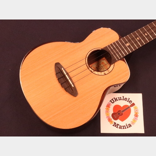 aNueNue UC-214 Cedar-Top Bird Concert with Ebony Bridge & Fretboard Ukulele #5468