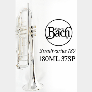 Bach Stradivarius トランペット 180ML37SPの検索結果【楽器検索