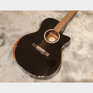 Morrisの検索結果【楽器検索デジマート】