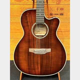 エレクトリック・アコースティックギター、Takamineの検索結果【楽器