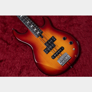 Bass Shop Geek IN Box 横浜 （神奈川県・横浜市西区平沼） 【楽器検索