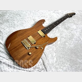 Addictone ARENA Brazilian Rosewood Neck/Honduras Mahogany Body #559