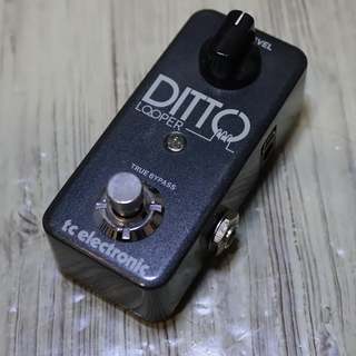 tc electronic Ditto Looper  【心斎橋店】