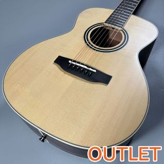 アコースティックギター／エレクトリック・アコースティックギター