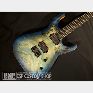 EDWARDS E-HR6-FX/BM  Aqua Burst