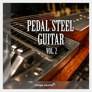 IMAGE SOUNDS PEDAL STEEL GUITAR 2