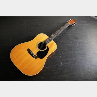 Martin D-28 1979年