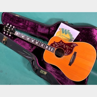 アコースティックギター、Gibsonの検索結果【楽器検索デジマート】