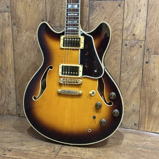 エレクトリックギター、Ibanez、セミアコの検索結果【楽器検索デジマート】