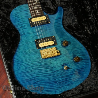 Paul Reed Smith(PRS)USED 2006 20th Anniversary Singlecut Trem Artist Package "Brazilian Rosewood"