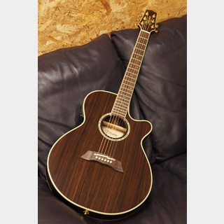 Takamine CTM TSP138C ~All Rosewood~【2023年製】【New】