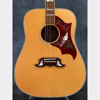 Gibson DOVE Natural