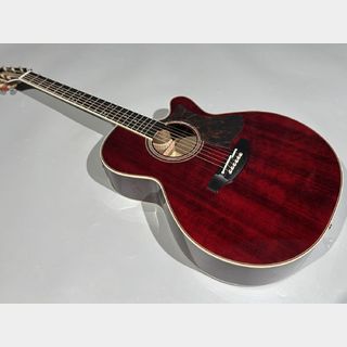 Takamine DMP50S