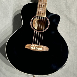 アコースティックベース ERNIE BALL Musicman Stingray USA（1989 Ernie Ball Music