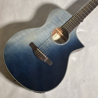 アコースティックギター／エレクトリック・アコースティックギター