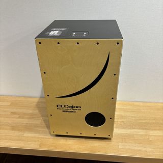 Roland EC-10【現物写真】