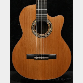 Orpheus Valley Guitarsの検索結果【楽器検索デジマート】