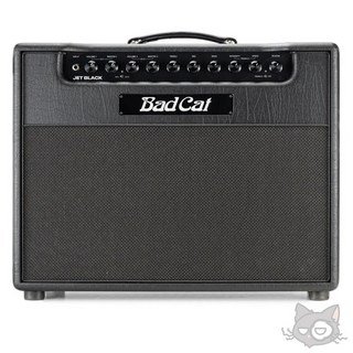 Bad Cat JET BLACK 1x12 Combo