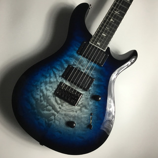 Paul Reed Smith(PRS) SE MARK HOLCOMB