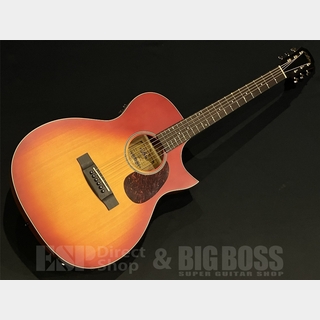 エレクトリック・アコースティックギター、ARIAの検索結果【楽器検索