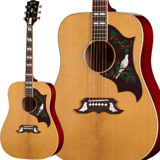アコースティックギター、Gibson、Gibson Custom Shop、Doveの検索結果