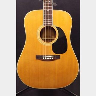 アコースティックギター、Cat's Eye OR Tokai CE-1000Sの検索