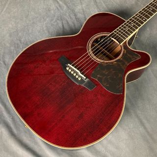 Takamine DMP50S WR エレアコギター ギグケース付属 【島村楽器 x Takamine コラボモデル】