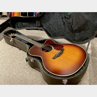 Takamine NPT-012BS