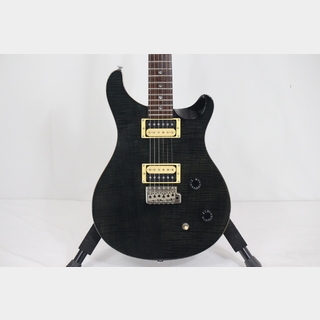 Paul Reed Smith(PRS) SE CUSTOM 22【Moded】