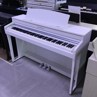 KAWAI CA4900GP