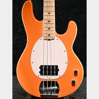 Sterling by MUSIC MAN SUB Intro Series RAY2 -Sunrise Orange-【オンラインストア限定】