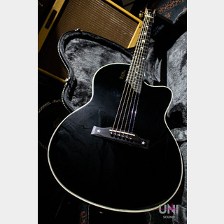 Gibson Chet Atkins SST / 2004