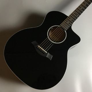 Taylor 214ce DLX【展示品特価】【トップに打痕あり】