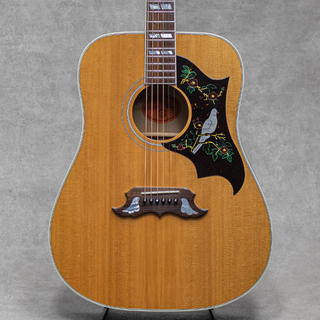 アコースティックギター、Gibson、Gibson Custom Shop、Doveの