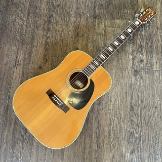 Kansas W-180 Acoustic Guitar