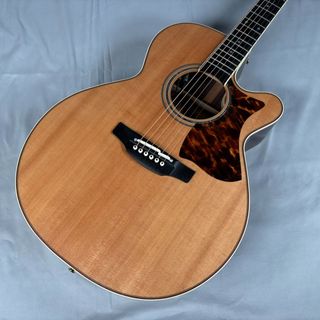 Takamine USED/DMP50S