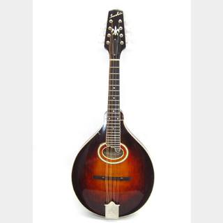 マンドリン ＞ マンドリンの検索結果【楽器検索デジマート】