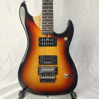 Washburn N-24F